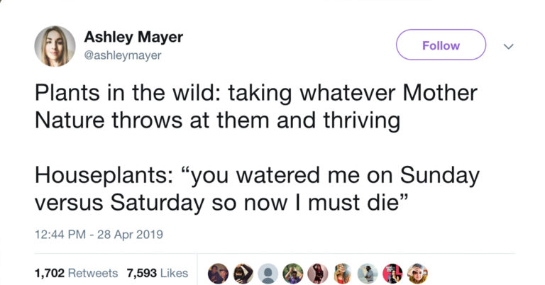 23 Of The Funniest Tweets From Women This Week