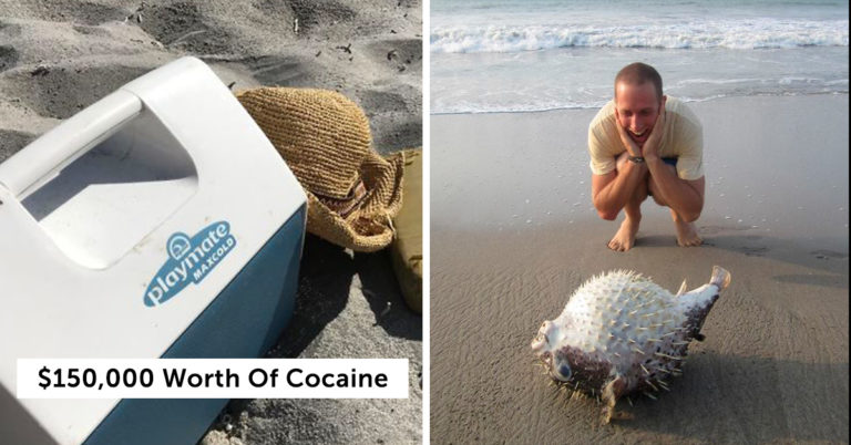 30 Of The Most Interesting Things People Have Found At The Beach