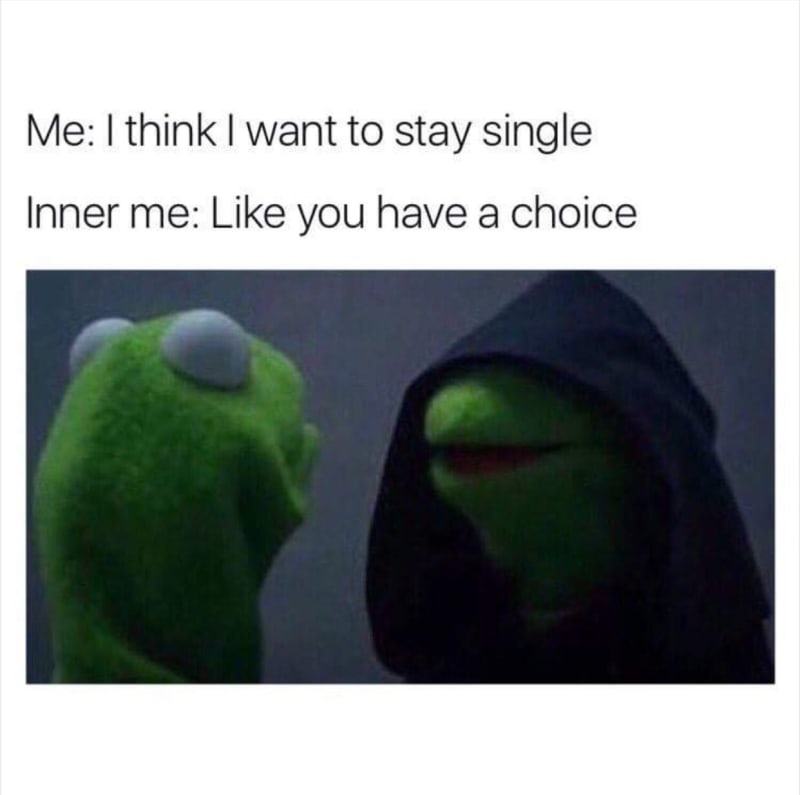 33 Memes For Anyone Whose Relationship Status Is Can We Talk About Something Else