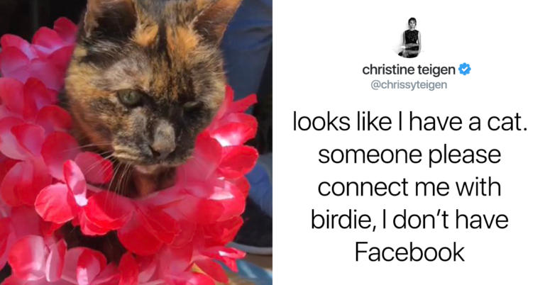 Birdie, The Saddest Cat In Existence, Broke Our Collective Hearts So Much That Chrissy Teigen Vowed To Adopt Her