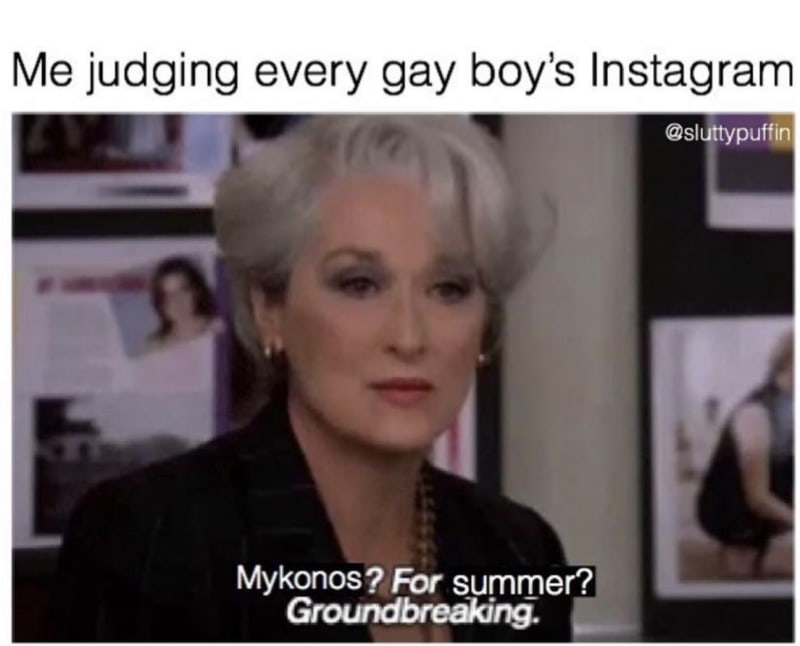 funniest gay memes