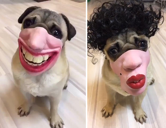 Don’t Buy These Amazon Dog Masks Unless You Want Nightmares For The