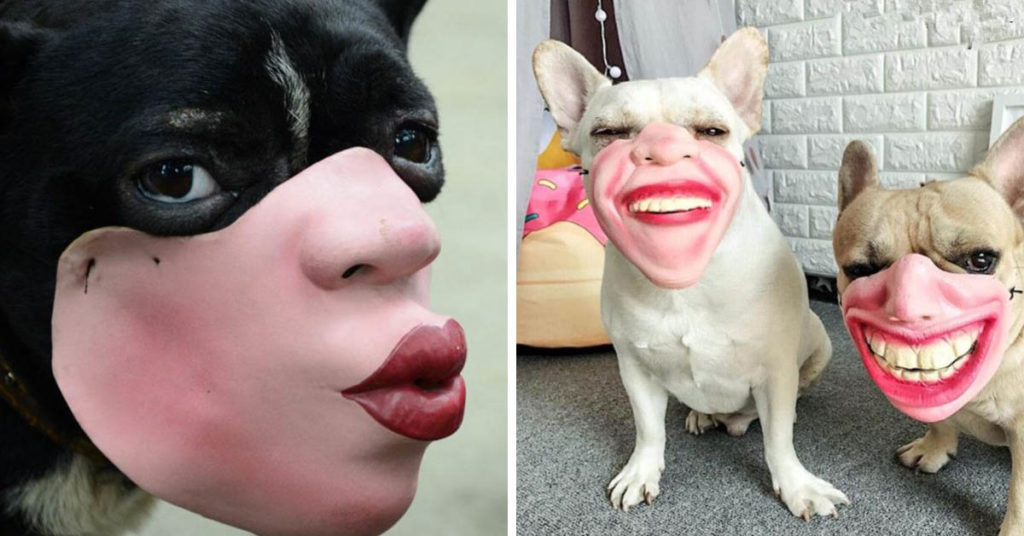 Don’t Buy These Amazon Dog Masks Unless You Want Nightmares For The