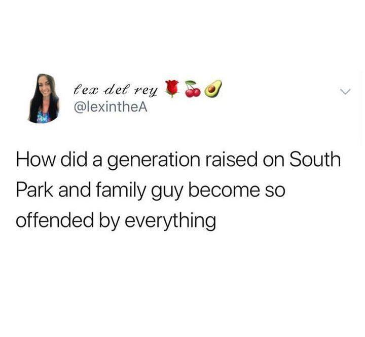 funniest tweets of this week - how did south park generation get offended by everything @lexinthea