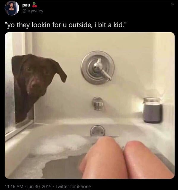 funny tweets - yo they lookin for you i bit a kid dog in bathtub