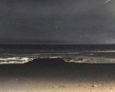 car or beach illusion