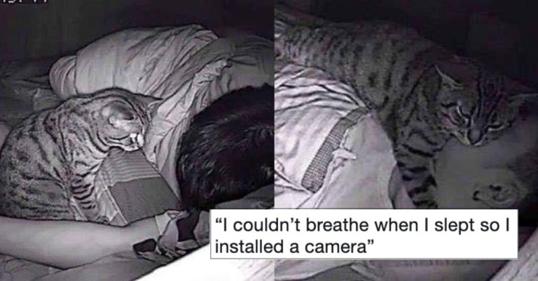Man Discovers Why He Has Trouble Breathing At Night After Installing Camera