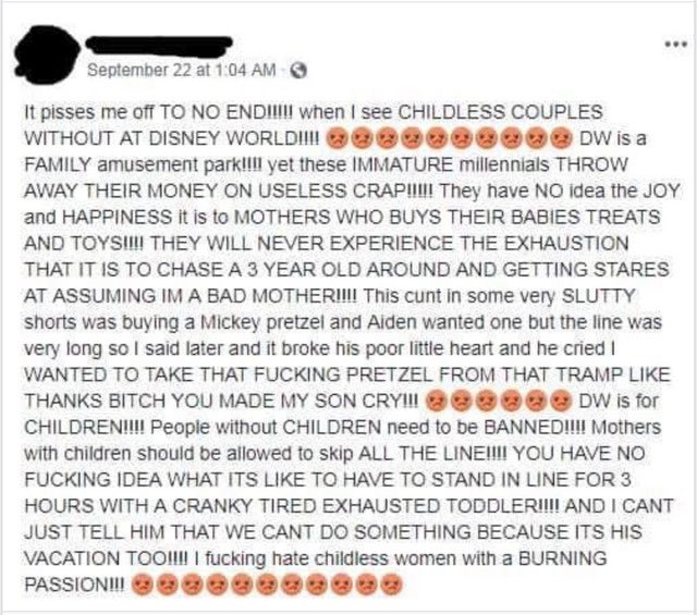 disney world angry mom post 