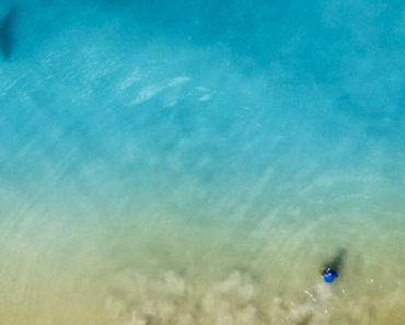 drone shark
