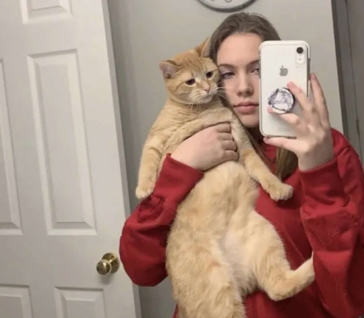 Teen's Cat TikTok Has Taken Over And People Love The Again