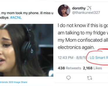 Free Dorothy, #freedorothy, Ariana grande fan, Ariana grande Stan, fridge tweet, Ariana grande fridge tweet, refrigerator tweet, Ariana grande refrigerator tweet