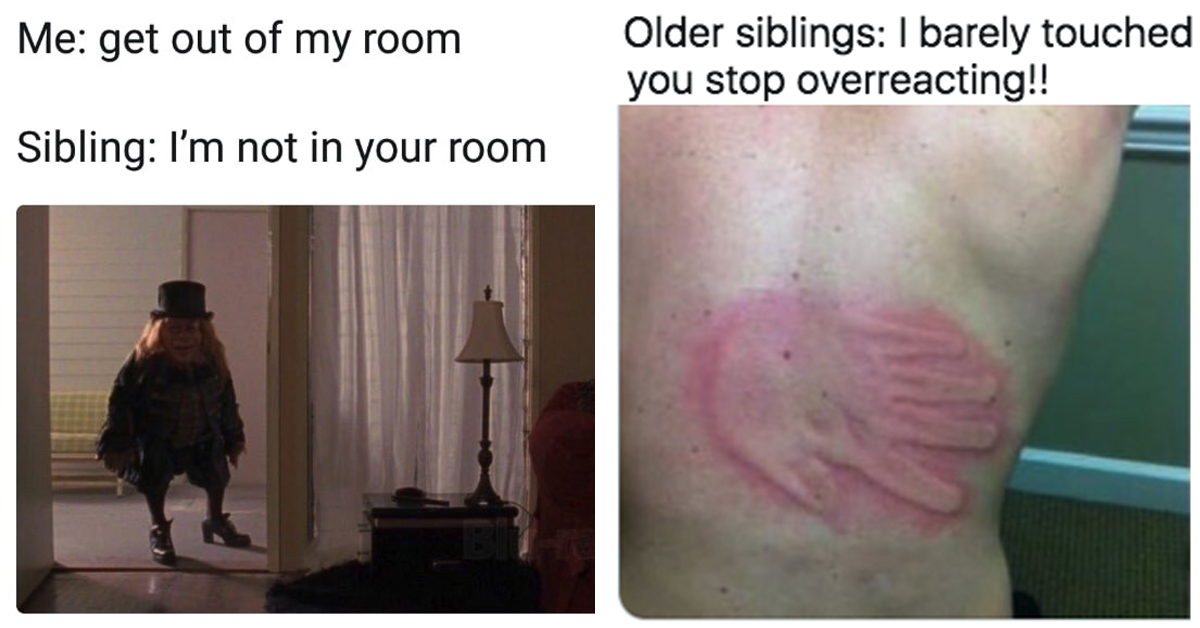 sibling fight meme