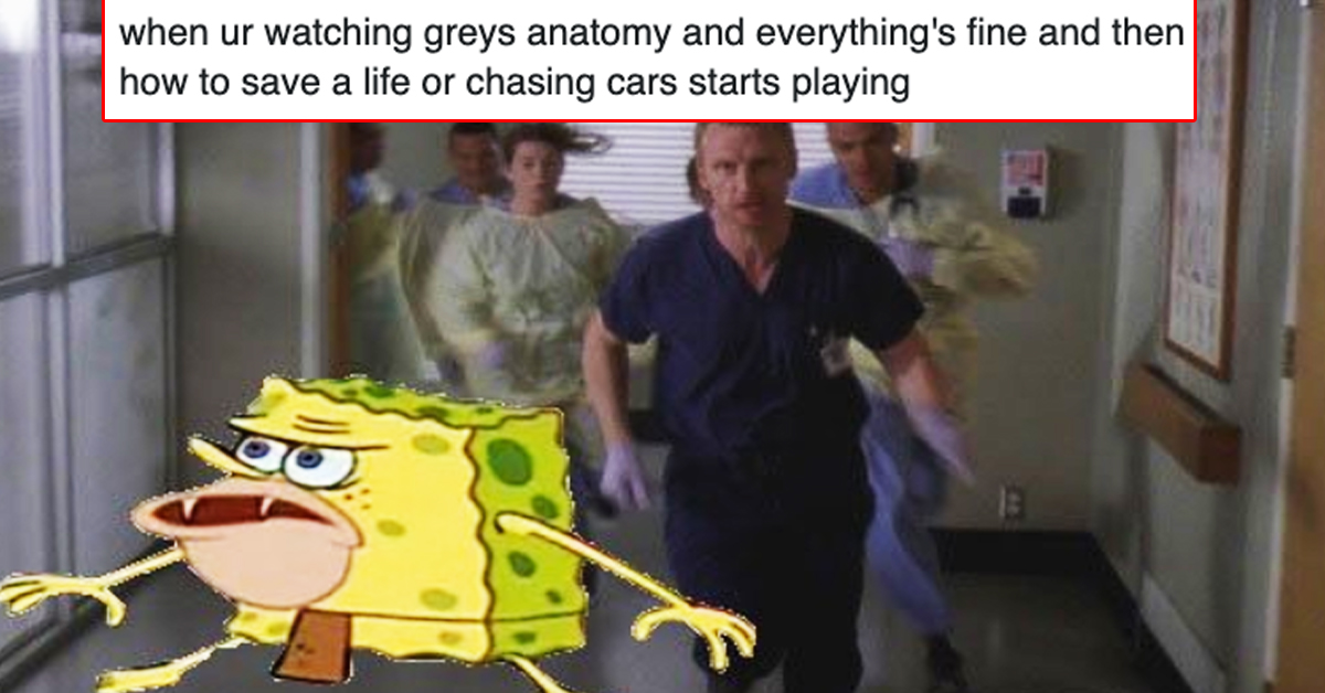 Grey's Anatomy  Greys anatomy funny, Grey anatomy quotes, Greys anatomy  memes