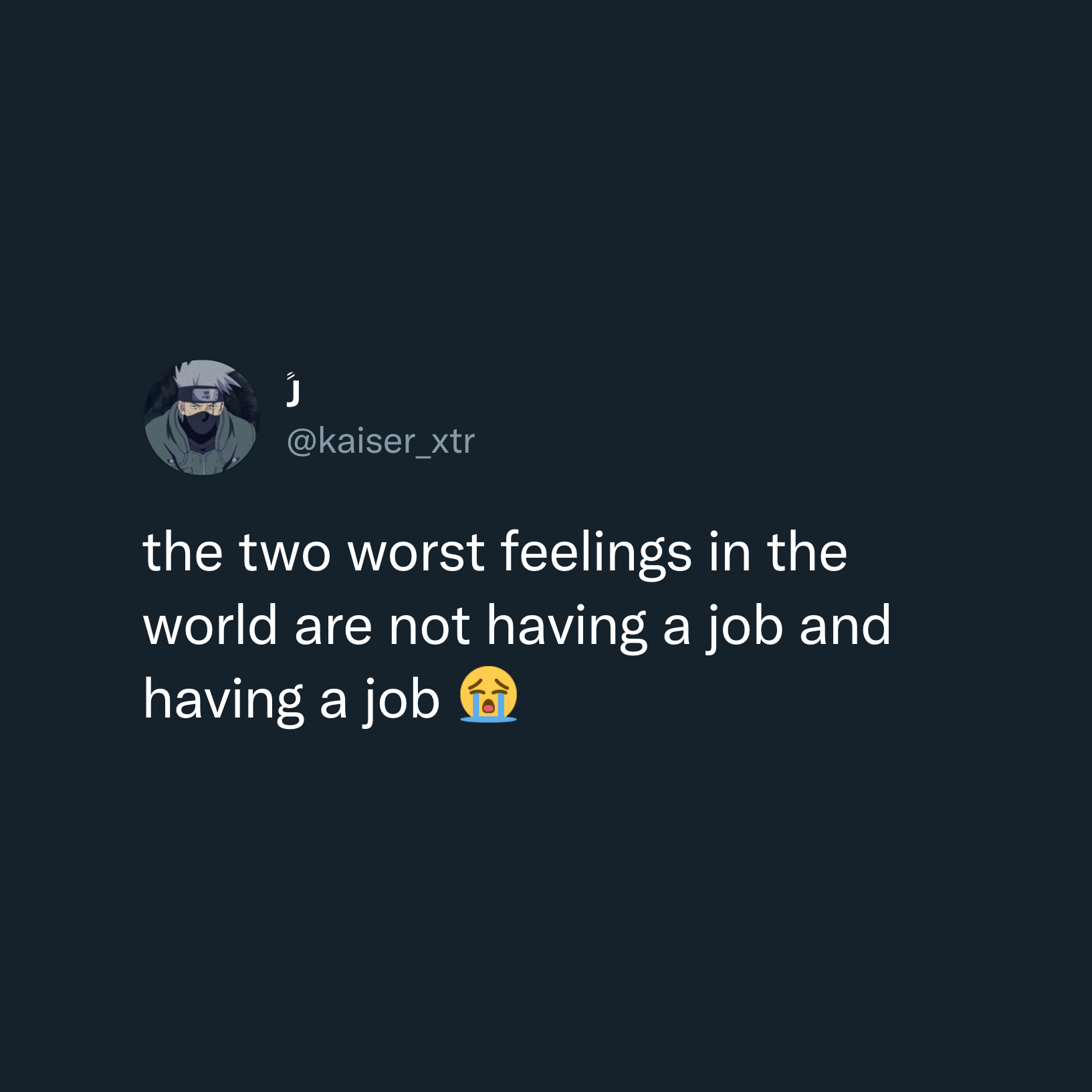 work meme - the two worst feelings are having a job and not having a job