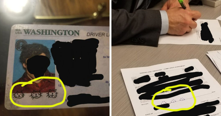 A Guy Signed His ID With Drawings Of Cats, So He Had To Sign His Mortgage Papers Like That Too