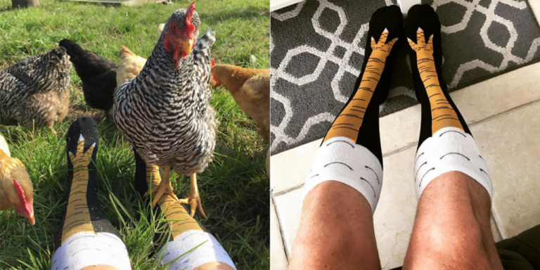 chicken leg socks