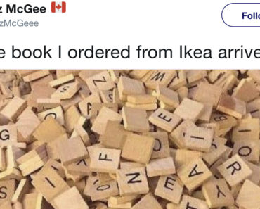 best funny pictures, funny pics, funny photos, funny pictures, funny vids, the best funny pictures, really funny photos, funny photos of animals, funny photos 2016, funny photos 2017, funny photos 2018, funny photos 2019, funny pics 2016, funny pics 2017, funny pics 2018, funny pics 2019, funny pictures 2016, funny pictures 2017, funny pictures 2018, funny pictures 2019, funniest pics 2016, funniest pics 2017, funniest pics 2018, funniest pics 2019, funniest pictures 2016, funniest pictures 2017, funniest pictures 2018, funniest pictures 2019, funniest photos 2016, funniest photos 2017, funniest photos 2018, funniest photos 2019, where to find funny pictures, funny pictures which made everyone laugh, where funny pictures, where to download funny pictures, where to find funny pictures with captions, where to get funny pictures for instagram, where to find funny pictures to share, where to find funny pictures to share on facebook, where to see funny pictures, funny pictures for instagram, funny pictures for facebook, funny pictures for memes, funny pictures for wallpaper, funny pictures for him, funny pictures for her, funny pictures for friends, funny pictures for snapchat, funny pictures like uberhumor, funny pictures like 9gag, funny pictures like facebook, funny pictures like, funny pictures like ifunny, funny stuff like pictures, funny pictures to text, funny pictures to photoshop, funny pictures to send, funny pictures to caption, funny pictures to post, funny pictures to make someone feel better, funny pictures to put on facebook, funny pictures to make you laugh, funny pictures to make you smile, funny pictures to brighten your day, funny pictures to brighten someone's day, funny pictures with words, funny pictures with no words, funny pictures without captions, funny pictures with jokes, funny pictures with dogs, funny pictures with cats, funny pictures without words, funny pictures without text, where can I find funny photos, best photos ever, best photo ever, silly photos, silly pictures, silly pics, best funny tweets, funny tweets, funny twitter, funny pictures, funny vids, the best funny pictures, really funny tweets, funny tweets 2016, funny tweets 2017, funny tweets 2018, funny tweets 2019, funny jokes 2016, funny jokes 2017, funny jokes 2018, funny jokes 2019, funniest tweets 2016, funniest tweets 2017, funniest tweets 2018, funniest tweets 2019, funniest tweets 2016, funniest tweets 2017, funniest tweets 2018, funniest tweets 2019, funniest jokes 2016, funniest jokes 2017, funniest jokes 2018, funniest jokes 2019, where to find funny tweets, funny tweets which made everyone laugh, where funny tweets, where to find funny pictures with captions, where to get funny tweets for instagram, where to find funny tweets to share, where to find funny tweets to share on facebook, where to see funny tweets, funny tweets for instagram, funny tweets for facebook, funny tweets for memes, funny tweets for him, funny tweets for her, funny tweets for friends, funny tweets for snapchat, funny tweets like, funny stuff like tweets, funny tweets to text, funny tweets to send, funny tweets to post, funny tweets to make someone feel better, funny tweets to put on facebook, funny tweets to make you laugh, funny tweets to make you smile, funny tweets to brighten your day, funny tweets to brighten someone's day, where can I find funny tweets, best tweets ever, best tweet ever, silly tweets