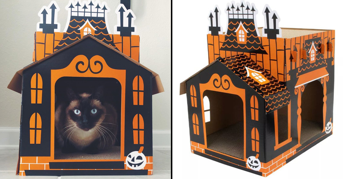 cat haunted house target