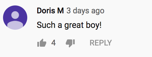 youtube comment