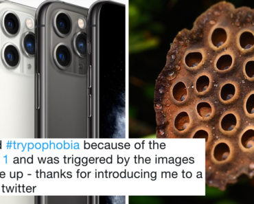 trypophobia, iphone 11, iphone 11 pro, iphone 11 trypophobia, new iphone, new iphone phobia, iphone 11 phobia, iphone 11 pro phobia, new iphone trypophobia