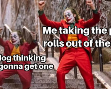 funniest best joker movie memes