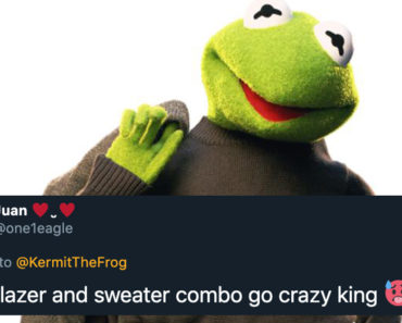 kermit the frog work outfit