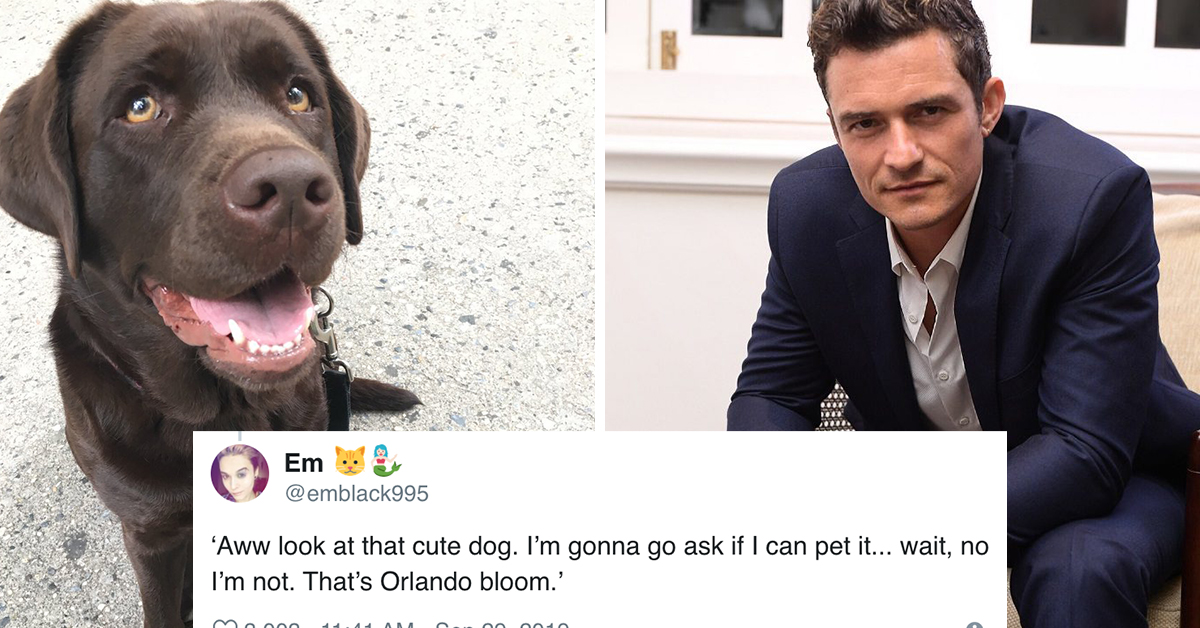 Twitter Shares Stories Of Noticing A Dog—But Not The Celebrity Walking It