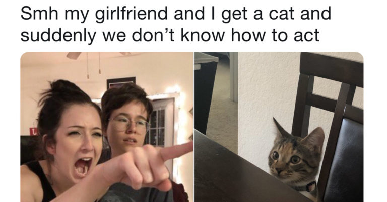 19 Women Who Made Us Pee Our Pants Laughing This Week