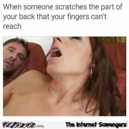 porn memes, porn meme, funny porn memes, funniest porn memes, pornhub memes, pornstar memes