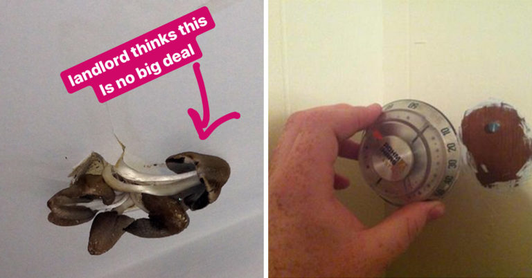 Being A Landlord Is Easy If You’re Really Bad At It (26 Pics)