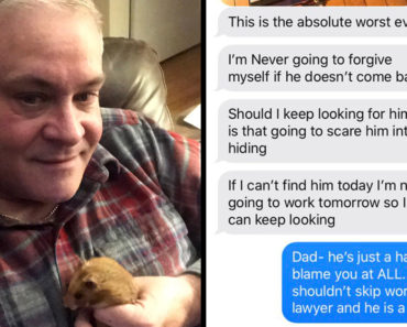 dad lost hamster