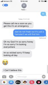Dad's Panicked Texts After He Lost His Daughter’s Hamster Go Viral