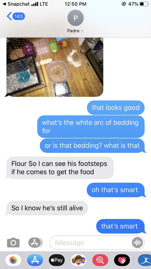 dad lost hamster, lost hamster texts