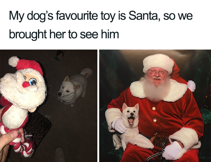 29 Of The Best Funny Christmas Memes Of 2019