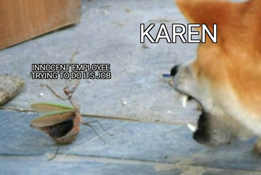 Karen Is Not A Name, It's A Rank You Earn (31 Karen Memes)