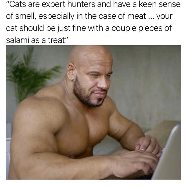 The "Buff Guys Typing On Laptops" Meme Offers Wholesome Advice