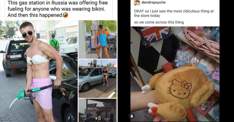 Morning Random Pic Dump (35 Pics)