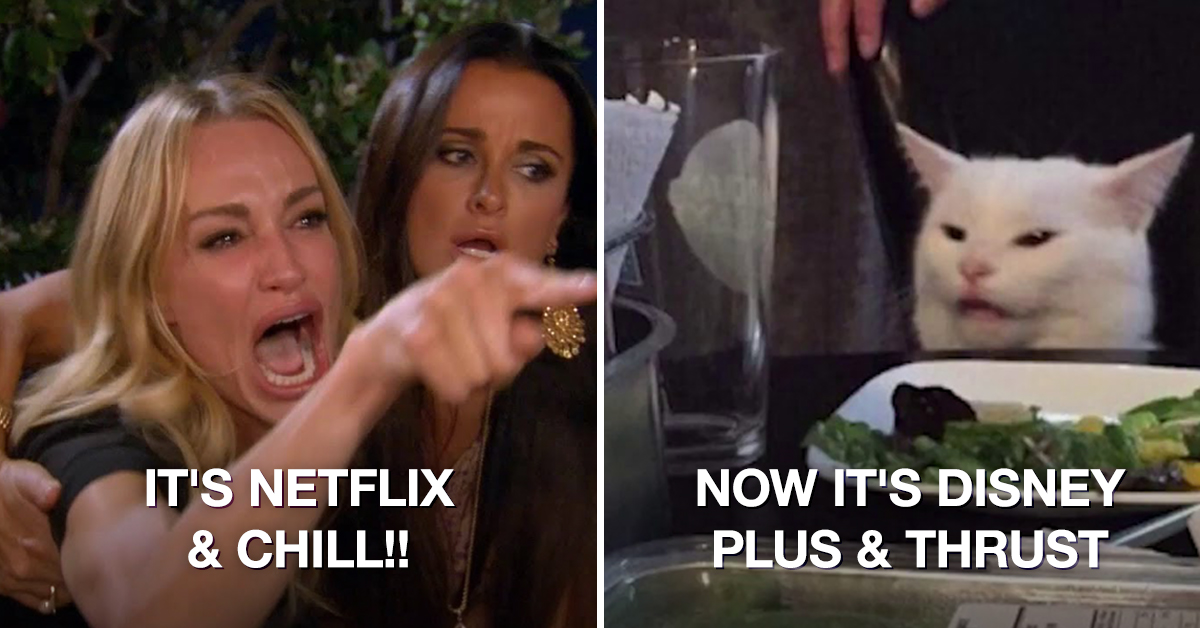 Netflix And Chill Vs Disney Meme