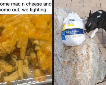 thanksgiving fails 2019