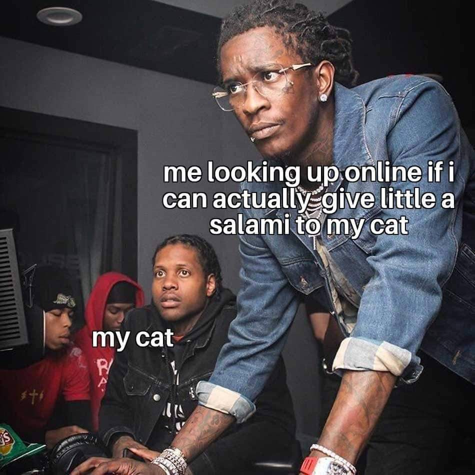 Yes Indeed, Cats Can Have A Little Salami (27 Memes)