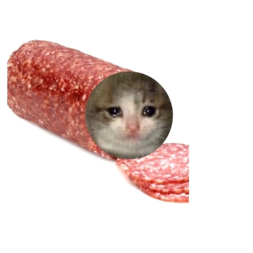 Yes Indeed, Cats Can Have A Little Salami (27 Memes)