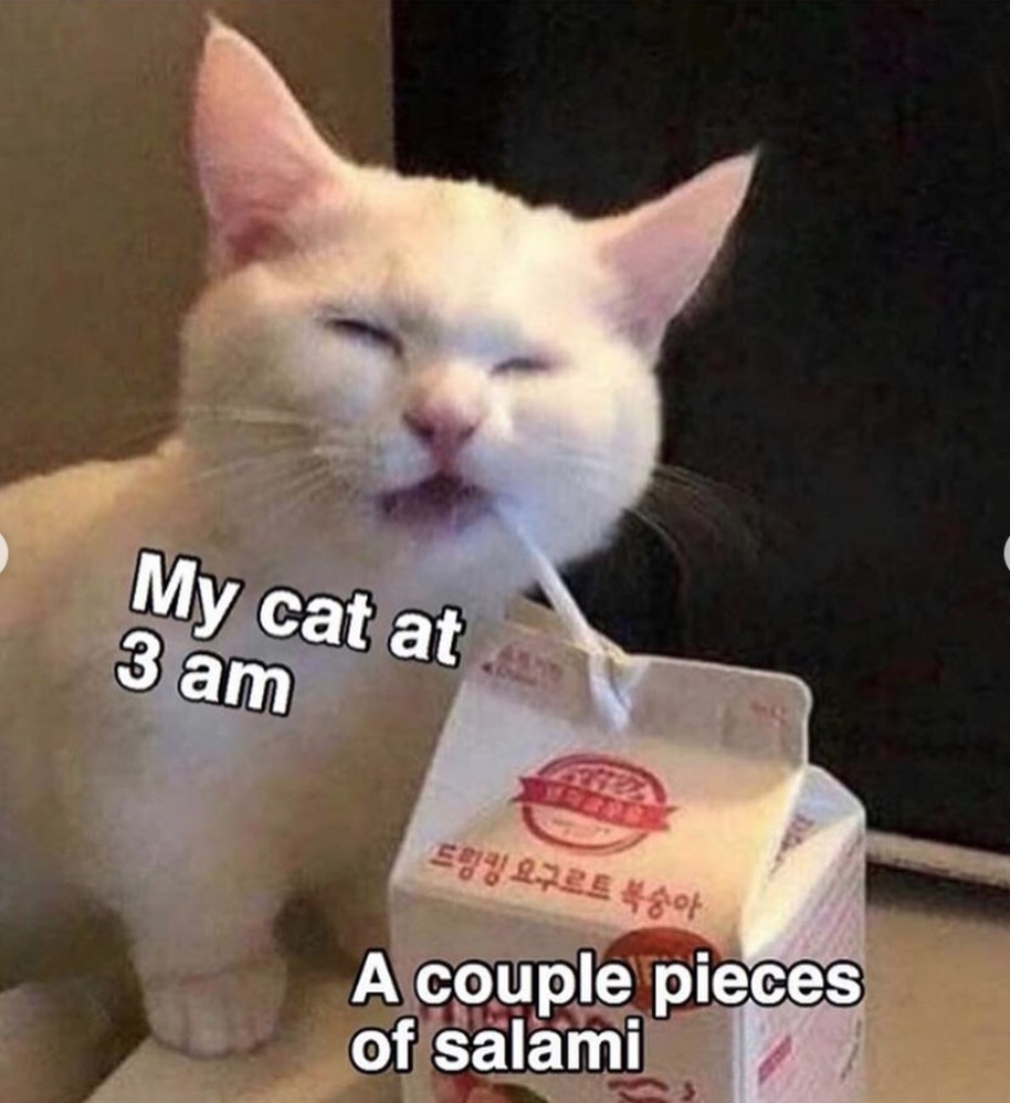 Yes Indeed, Cats Can Have A Little Salami (27 Memes)