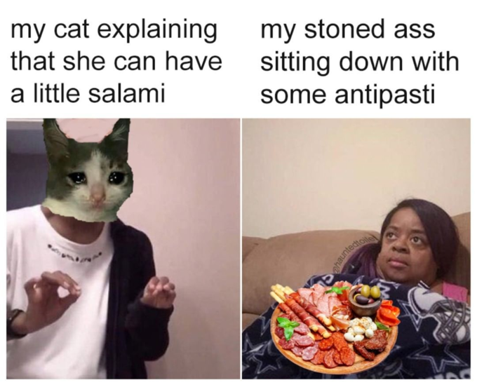 Yes Indeed, Cats Can Have A Little Salami (27 Memes)