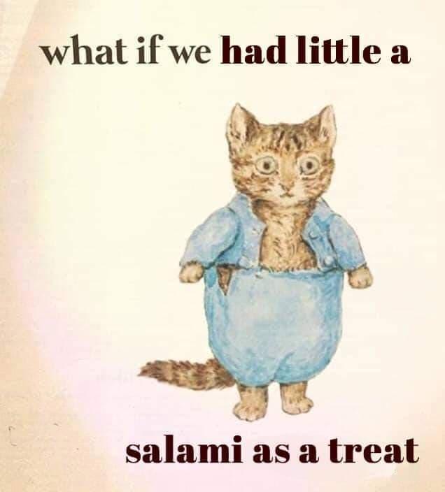 yes-indeed-cats-can-have-a-little-salami-27-memes