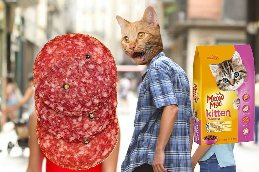 Yes Indeed, Cats Can Have A Little Salami (27 Memes)