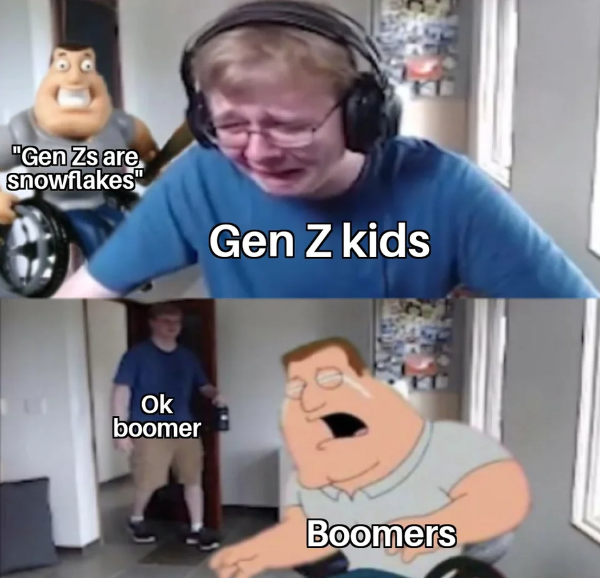 Ok Boomer Meme Wallpaper