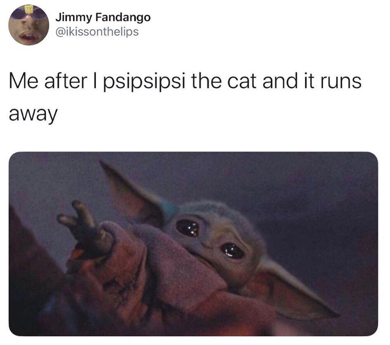 cat running baby yoda meme