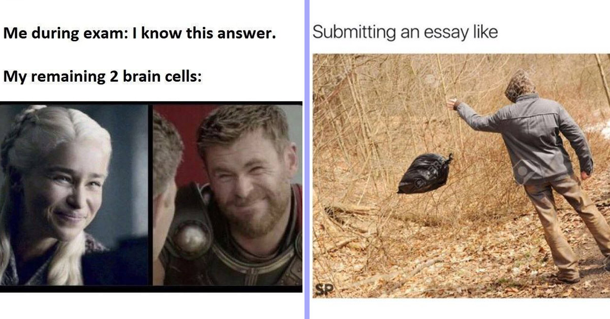 final exams memes