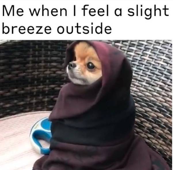 25 Ice Cold Memes For That One Friend Who's Always Freezing