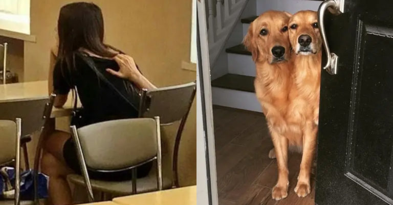 pictures that look like something else, funny photos that look like something else, misleading photos, misleadings pics